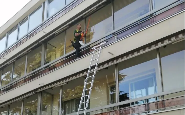 Agent ProClean-idf sur échelle sécurisée devant une façade vitrée en hauteur