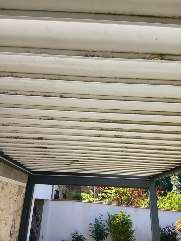 Lames de pergola encrassées, feuilles coincées dans les glissières