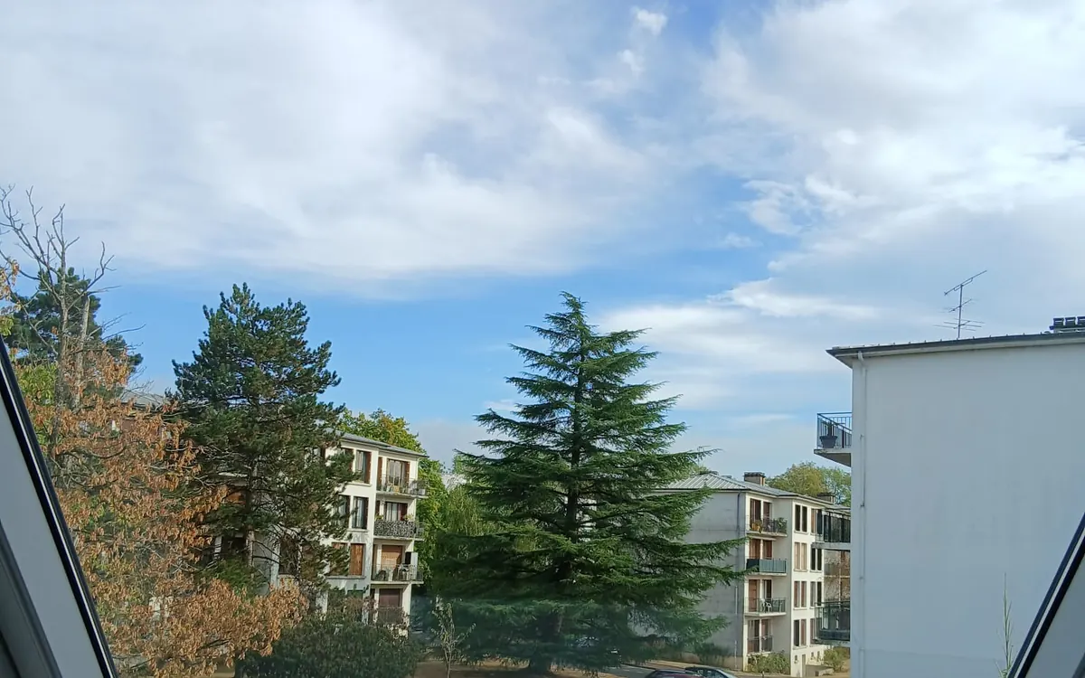 La même fenêtre de toit après nettoyage : la vue sur les arbres et le parking est nette