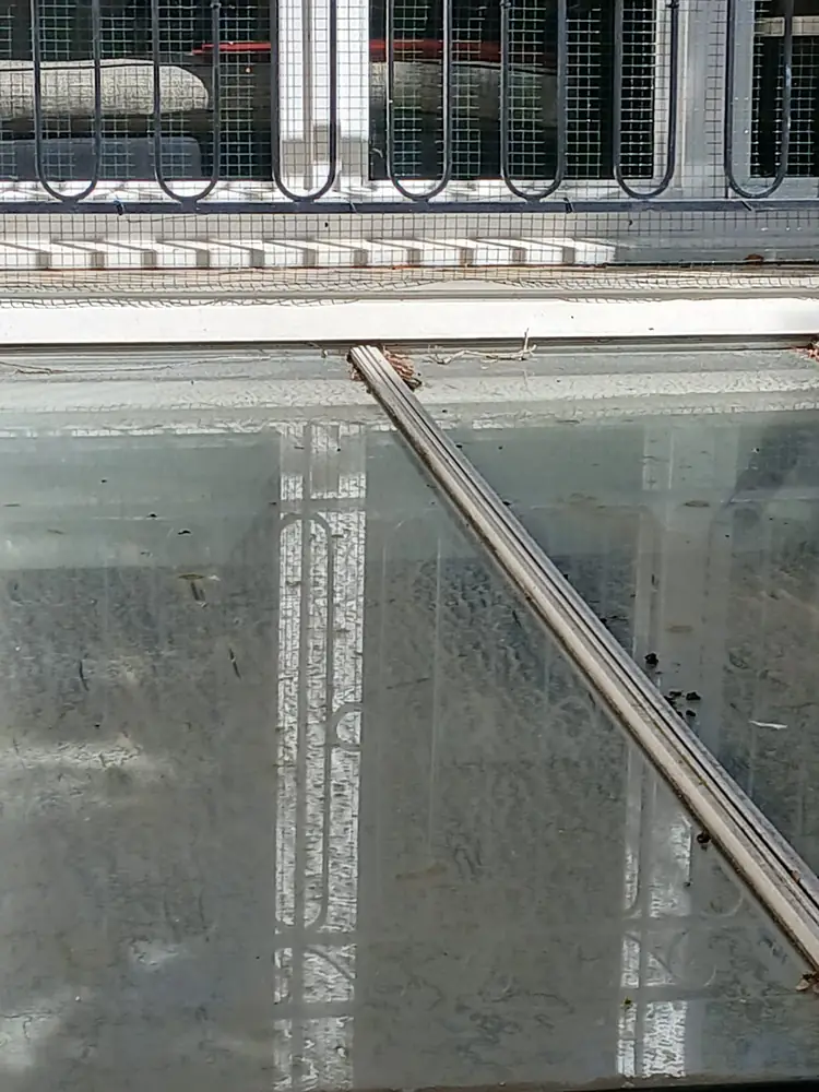 Verrière parisienne au verre verdi, feuilles accumulées dans les rails